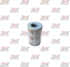 H3002