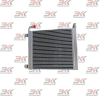 oc-vio75_1