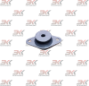 YNF02647_1