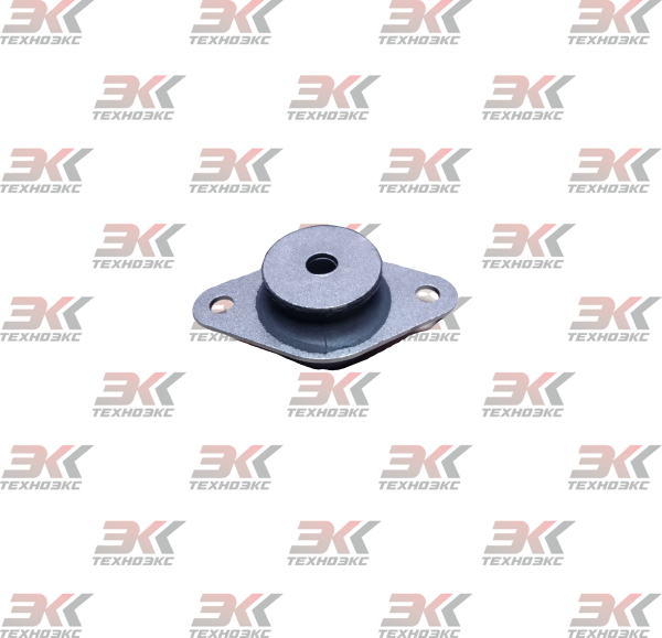 YNF02647_1