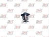 129155-49801_1