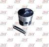 MM436618