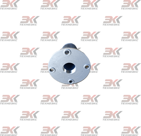 H1313_1