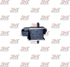YNF01872