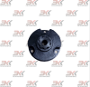 YNF-109