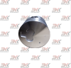 MM436772_1
