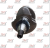31B20-00202_1