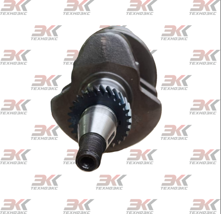 31B20-00202_1