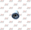 C1002_1