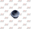 YNF02936_1