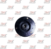 YNF-109_1
